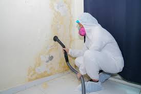 Biohazard Mold Removal in Celina, OH